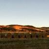 Отель Barossa Vineyard Cottages, фото 17