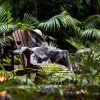 Отель Pinetrees Lodge, фото 19