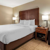 Отель Comfort Inn & Suites Albuquerque Downtown, фото 3