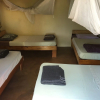 Отель Deans Hillview Backpackers - Hostel, фото 11