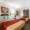 Отель Econo Lodge Inn & Suites I-20, exit 73, фото 4