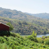 Отель Casa da Mouta - Douro Valley, фото 15