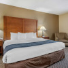 Отель Comfort Inn South, фото 7