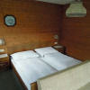 Отель Pension Erlerhof, фото 3