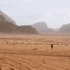 Отель Wadi Rum Firecamp, фото 20