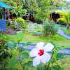 Отель Moalboal Bamboo House / Rooms, фото 21