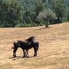 Отель Agriturismo Colle Donatucci, фото 27