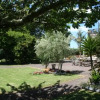Отель Whitianga B&B - Adults Only, фото 5