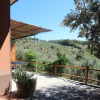 Отель Snug Holiday Home in Castagneto Carducci near Thermal Bath, фото 9