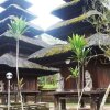 Отель Yeh Panes Bali, фото 17