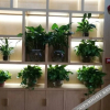 Отель Shangkeyou Hotel (Ankang high speed bus station), фото 5