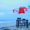 Отель Alleppey Homestay, фото 9