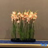 Отель Boning Hotel (Ningbo Nantang Old Street), фото 12