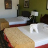 Отель Ashley Lodge, фото 4