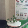 Отель Green Tree Inn Shiyan Shanghai Road, фото 6