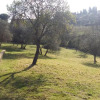 Отель Charming 4-bed Cottage 15 Minutes From Florence, фото 13