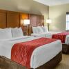 Отель Comfort Inn Lancaster  Rockvale Outlets, фото 31