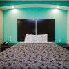 Отель Palace Inn and Suites - Willowbrook Mall, фото 10