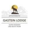 Отель Gastein Lodge, фото 14