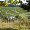 Отель BENZ Weingut & Weinhotel, фото 9