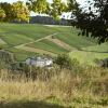 Отель BENZ Weingut & Weinhotel, фото 6