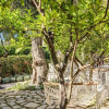 Отель Sophia in Sorrento With 2 Bedrooms and 2 Bathrooms, фото 16