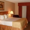 Отель Holiday Inn Toledo South - Perrysburg, фото 4