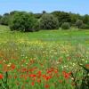 Отель Masseria Cielogreco, фото 22