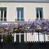 Отель Wisteria в Фонтенбле