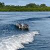 Отель Dolphin Bay Hideaway, фото 23