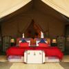 Отель Olengoti Safari Camp - East Africa Camps, фото 33