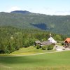 Отель Alpengasthof Moser, фото 17