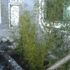 Отель Duanshi Dongyuan Inn, фото 15