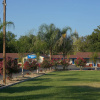 Отель Rodeway Inn Chico University Area, фото 13