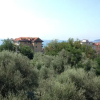 Отель Baia di San Terenzo, фото 7