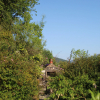 Отель Clyde View Bed & Breakfast, фото 5