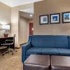Отель Comfort Suites Pell City, фото 6