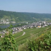 Отель Weingut Stiftshof, фото 8