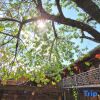 Отель Yunshuiyao old courtyard house 1949, фото 12