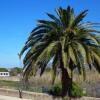 Отель CALVI, appartement 4 personnes, centre ville, 200m de la plage, vue mer, фото 9