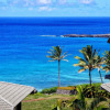 Отель Kapalua Bay Villa 17b4 Gold Ocean View, фото 16