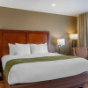Отель Comfort Inn, фото 25