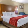 Отель Comfort Inn Lancaster  Rockvale Outlets, фото 28