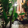 Отель Indika's Residence, фото 13