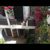 Отель A Homey and Cozy Riad in the Heart of the Medina, 10 min Walk to Jemaa El Fna, фото 7