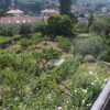 Отель Case Vacanza Imperia, фото 12