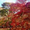 Отель Bod Gwynedd Bed and Breakfast, фото 13