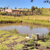 Отель Fazenda Roseira Lagoinha, фото 19