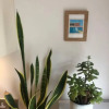 Отель Immaculate 2-bed Loft, St Ives 2 min From Beach, фото 11