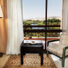 Отель Pyramisa Island Hotel Aswan, фото 8